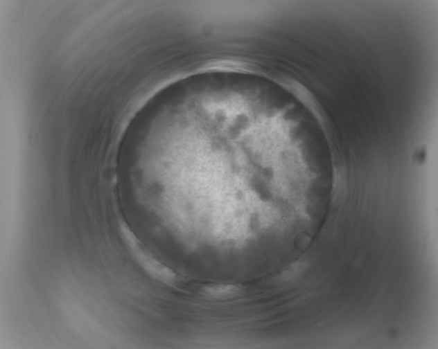 X0000110951435200907022146