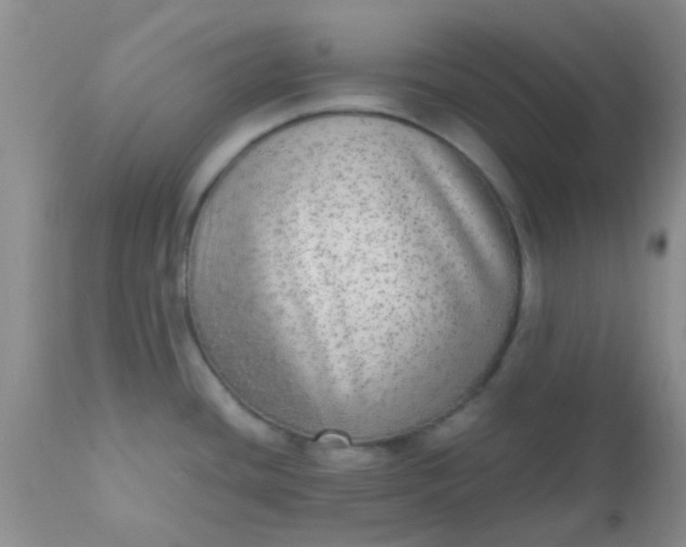 X0000110951436200907022146