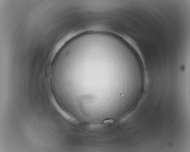 X0000110951437200907022146