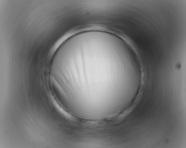 X0000110951438200907022146