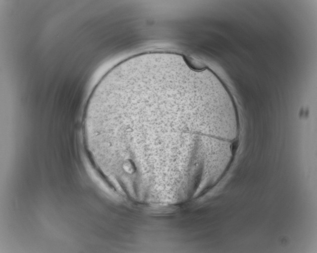 X0000110951440200907022146