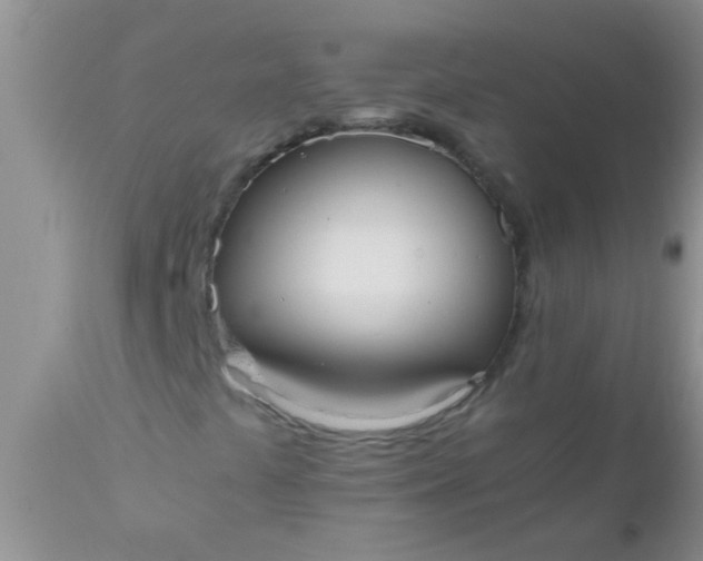 X0000110951441200907022145