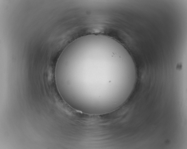 X0000110951442200907022145