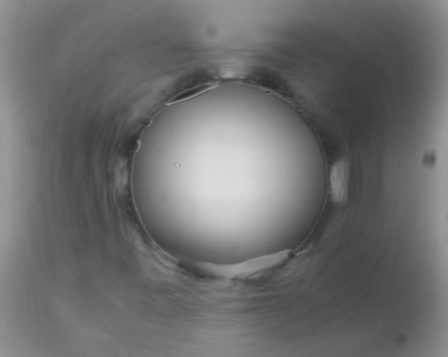 X0000110951443200907022145