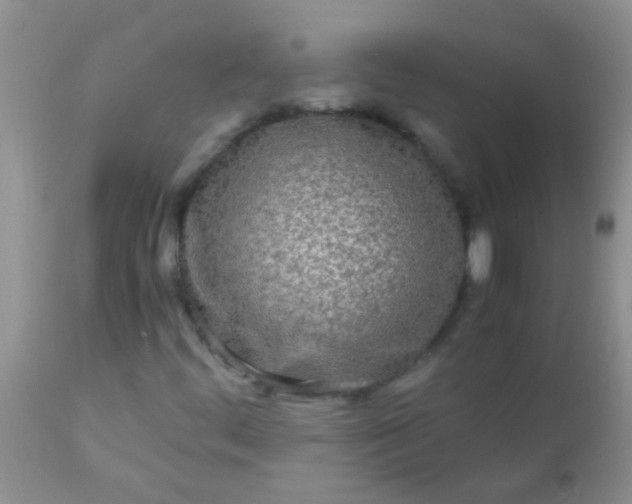 X0000110951444200907022145