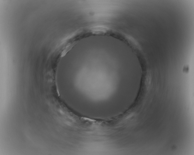 X0000110951445200907022145