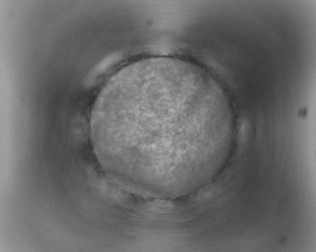 X0000110951446200907022145