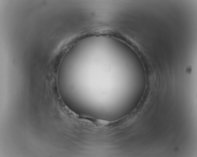 X0000110951447200907022145