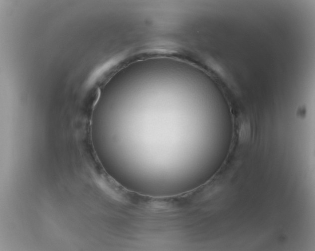 X0000110951448200907022145