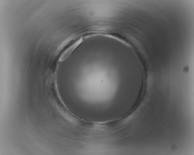 X0000110951449200907022145