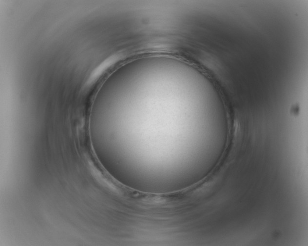 X0000110951450200907022145