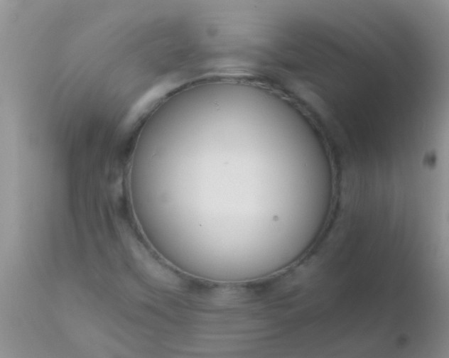 X0000110951451200907022145