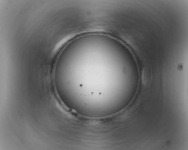 X0000110951452200907022145