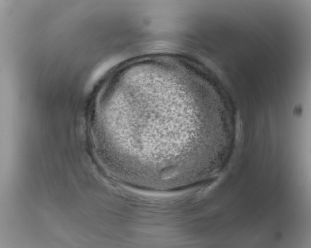 X0000110951453200907022145