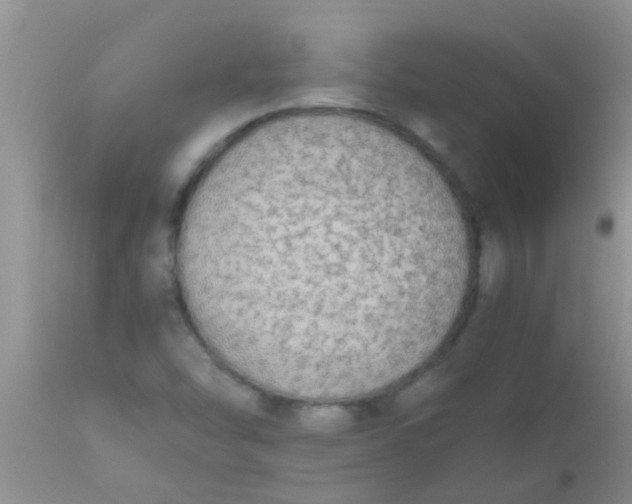 X0000110951454200907022145