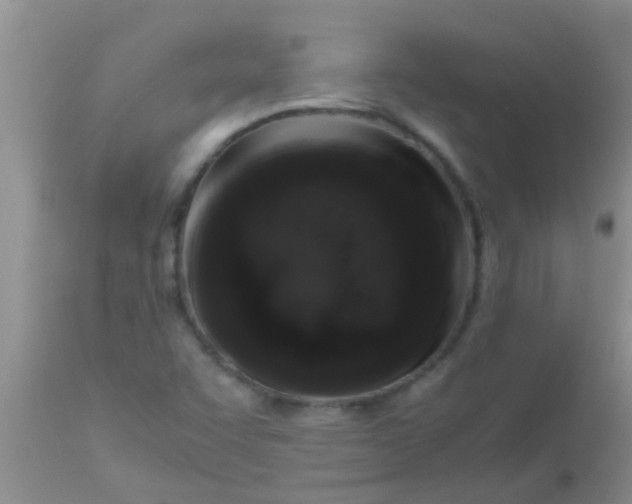 X0000110951455200907022145