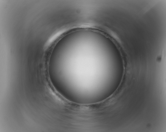 X0000110951456200907022145