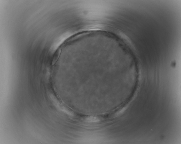 X0000110951457200907022145