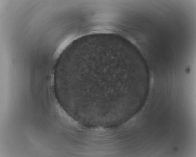 X0000110951459200907022145