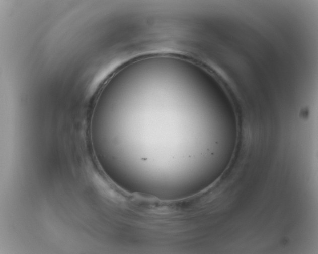 X0000110951460200907022145