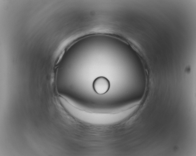 X0000110951461200907022145