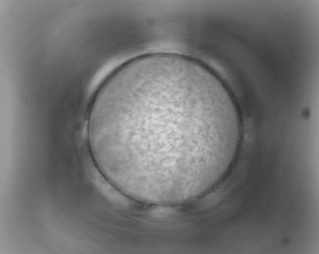 X0000110951462200907022145