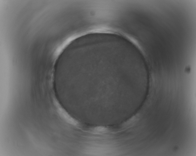 X0000110951463200907022145