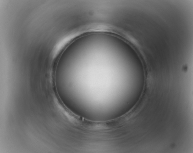 X0000110951464200907022145