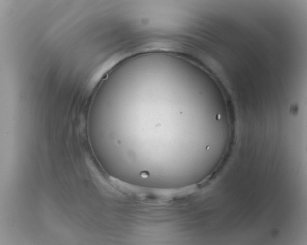 X0000110951465200907022145