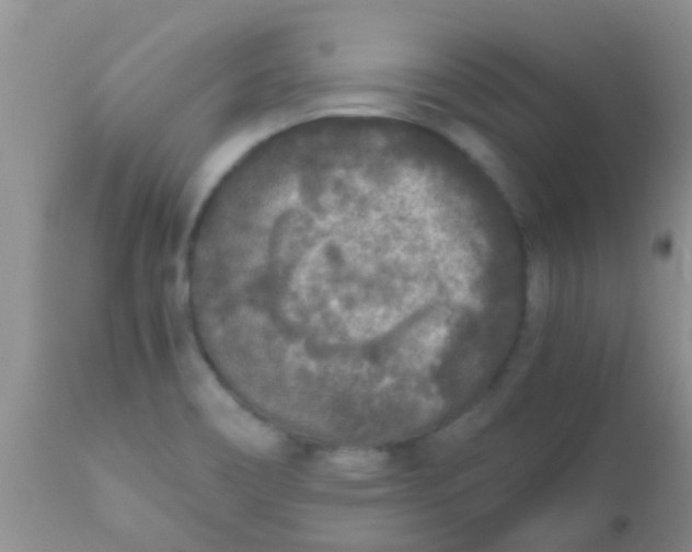 X0000110951466200907022145