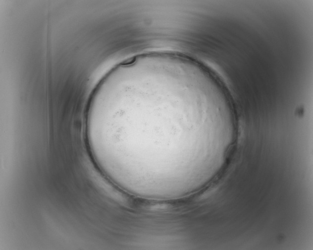 X0000110951467200907022145