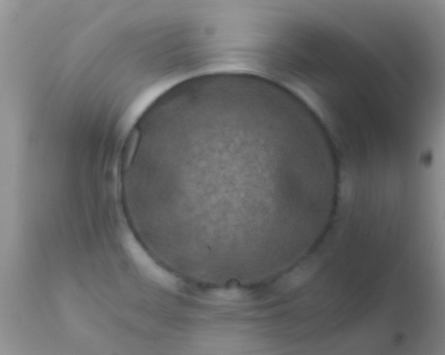 X0000110951468200907022145