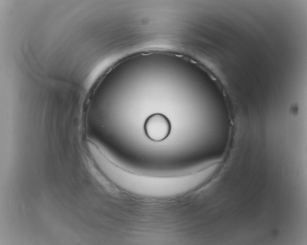 X0000110951469200907022145