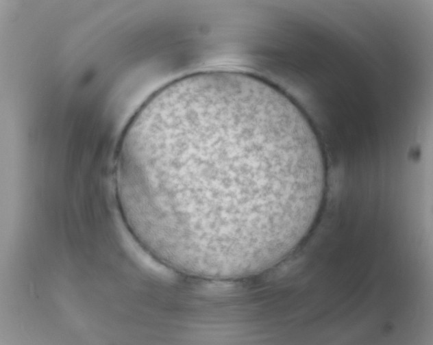 X0000110951470200907022145