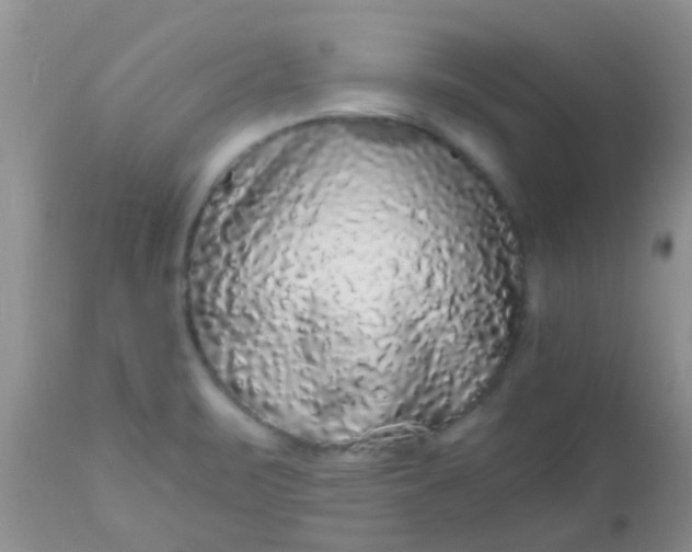 X0000110951471200907022145