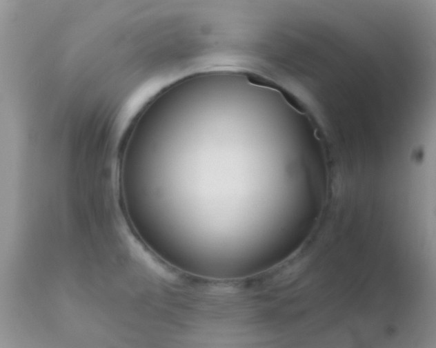 X0000110951472200907022145