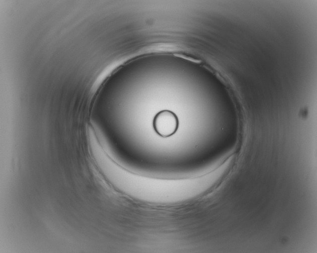 X0000110951473200907022145