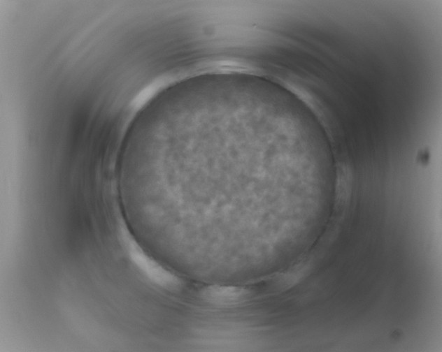 X0000110951474200907022145