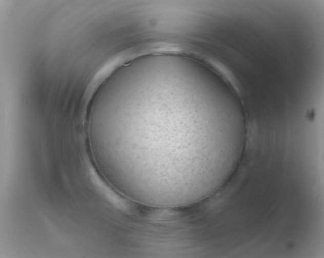 X0000110951475200907022145