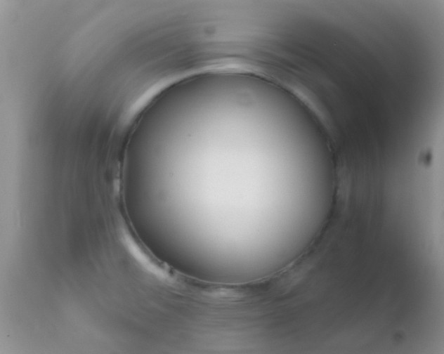 X0000110951476200907022145