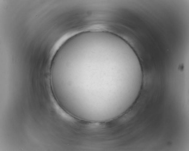 X0000110951478200907022144