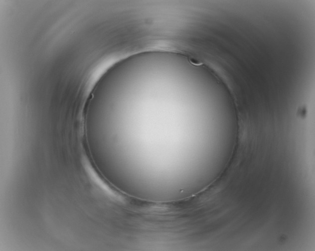 X0000110951479200907022144