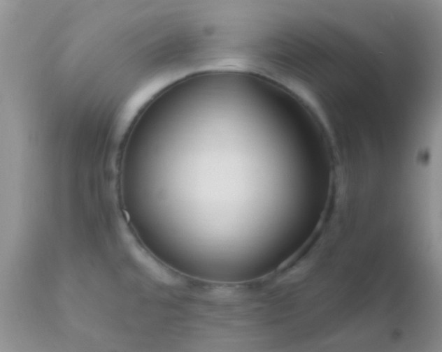 X0000110951480200907022144