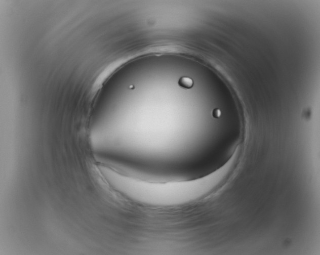 X0000110951481200907022144