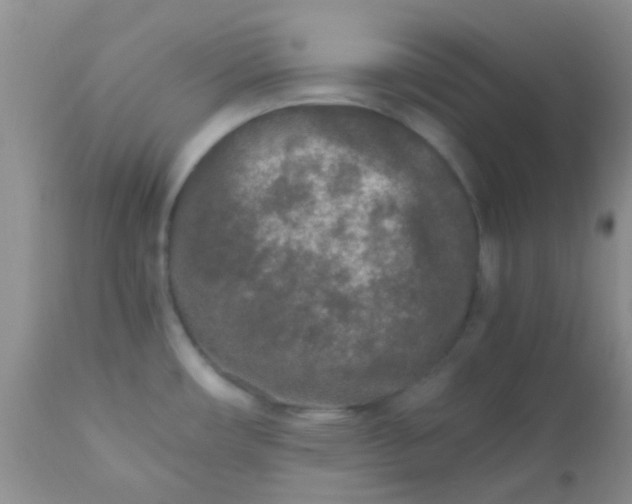 X0000110951482200907022144