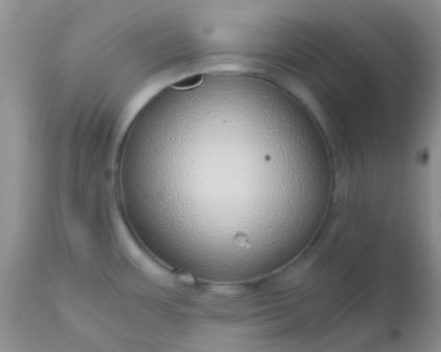 X0000110951483200907022144