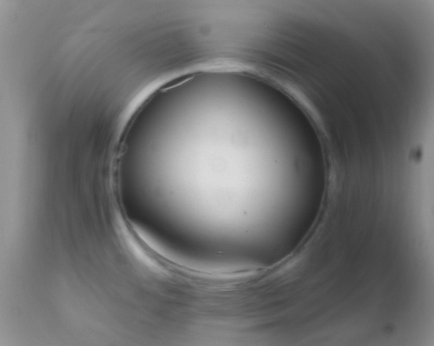 X0000110951484200907022144