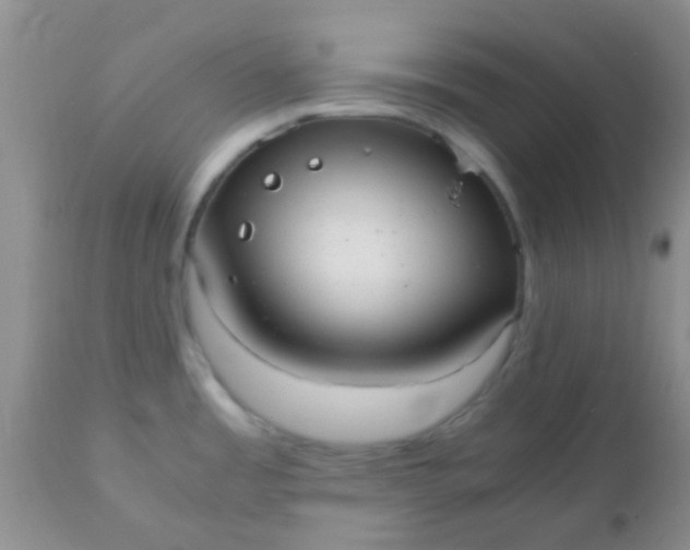 X0000110951485200907022144