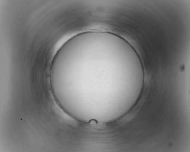 X0000110951486200907022144