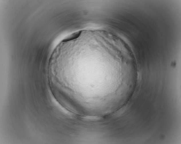 X0000110951487200907022144